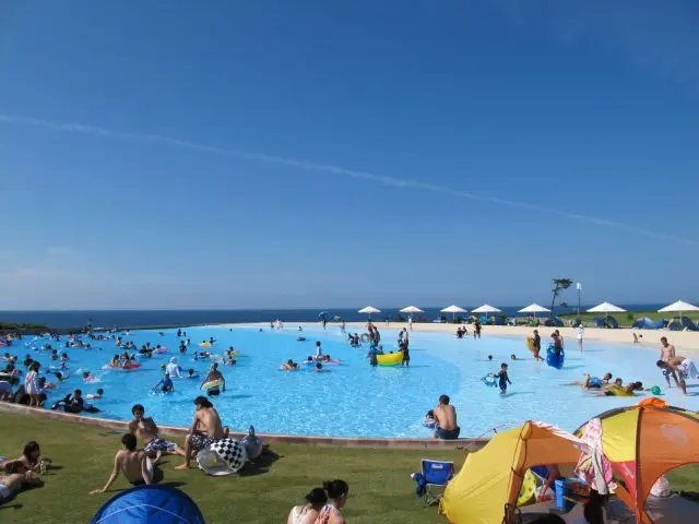 🎡 시바마사 월드 이미지 7